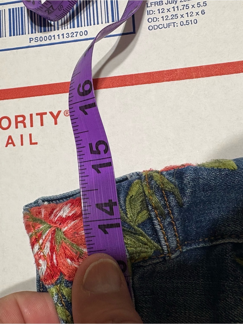 DRIFTWOOD Jackie Skinny Jeans with Red Floral Embroidery - Picture 9 of 11